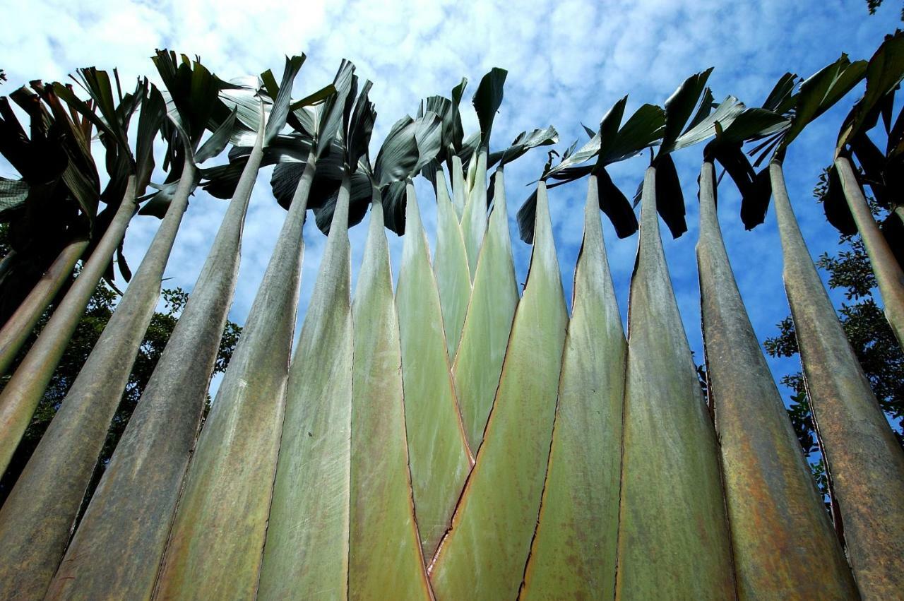 Mata N'Ativa Pousada ตรันโกโซ ภายนอก รูปภาพ